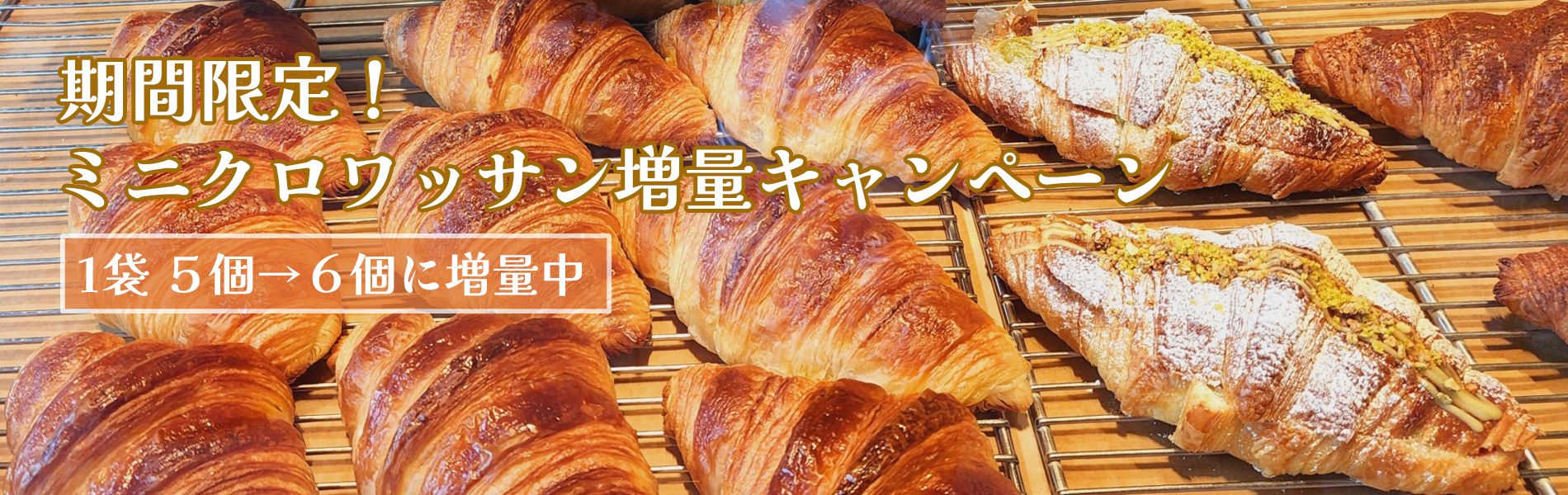 期間限定！ミニクロワッサン増量キャンペーン